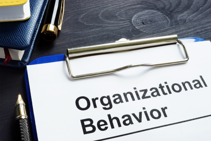 comportamento organizacional
